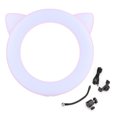 thumbnail image 3 of ABS+PC Material 10W Cute Live Support Bracket Fill Light, Led Fill Light, Make Up Photography For Mobile Phone Pink Cat, 3 of 8