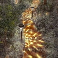 thumbnail image 1 of paquete de luces solares para caminos, luces solares para jardín al aire libre para Patio, camino de entrada, 1 of 3