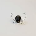 thumbnail image 5 of BotaniNest Solar Powered Micro Cockroach Toy Educational Model This Quirky Solar Cockroach Toy Is A For Children And Adults Who Unique Gadgets And Scientific Toys., 5 of 5