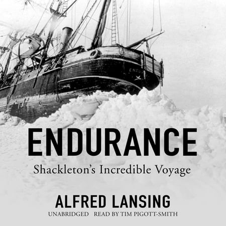 Endurance - Audiobook
