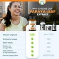 thumbnail image 5 of TrueMed Papaya Leaf Extract Capsules 500 mg | Natural Papaya Enzymes for Digestive Support & Daily Wellness | Health Supplement, 60 Veg Capsules, 5 of 12