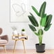 thumbnail image 3 of 48 - pulgada artificial faux banana leaf plant con pot: 5 - foot upright plant con 8 trunks para home o oficina decoration, 3 of 5