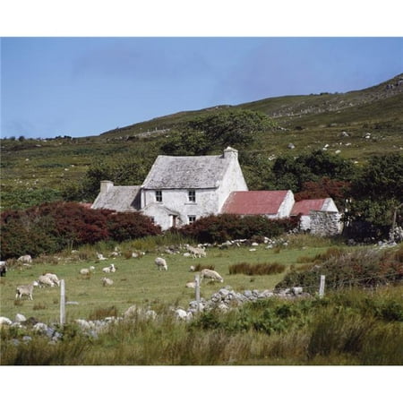 The Cottage Collection Posterazzi DPI1817636 Cottage Ireland Poster Print by The Irish Image Collection, 16 x 13 ()
