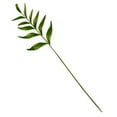 thumbnail image 2 of Langgg Artificial Plant Leaf Single Branch Simulation Leaf Decor Home Office artificial Plant Ornament, 2 of 9