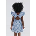 thumbnail image 3 of Bluey Floral Infant Baby Girls Chambray Skater Dress Infant to Big Kid, 3 of 5