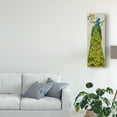 thumbnail image 3 of Trademark Fine Art 'Vintage Peacock I' Canvas Art by Melissa Wang, 3 of 4