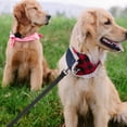 thumbnail image 4 of PAMINGONO Training Dog Leash Nylon Dog Leash Rope For Outdoor Activities 1 Set, 4 of 8
