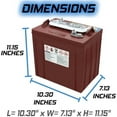 thumbnail image 4 of Trojan Motive T-125 GC2 6V 240Ah Deep Cycle Flooded Lead Acid Battery, 4 of 5