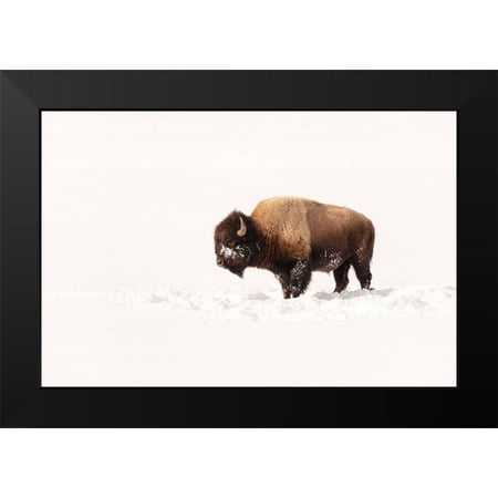 The Yellowstone Collection 14x11 Black Modern Framed Museum Art Print Titled - Bull Bison on a Winter Day, Yellowstone National Park