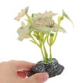 thumbnail image 3 of QUMIIRITY Planta Decorativa Para De Reptiles Y Acuarios Multicolor Con Y Fácil Instalación, 3 of 6