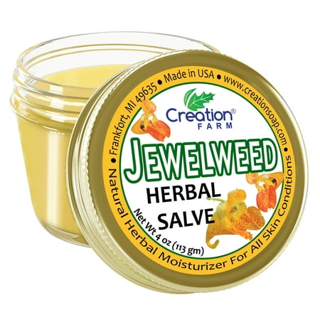 Jewelweed Herbal Salve for Wounds, Rash, Bug Bites, Itchy Skin from Contact Dermatitis
