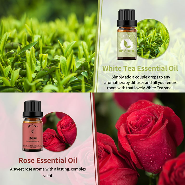  yethious Rose Essential Oil 100% Pure Rose Scented Oil