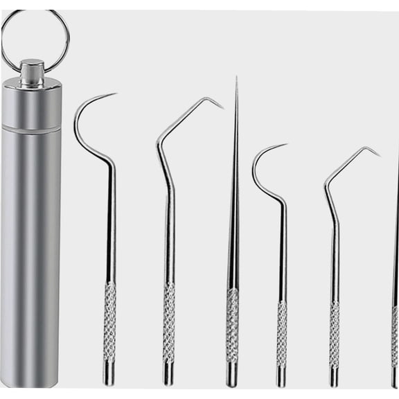 Stainless Steel Toothpick Set, Portable Metal Toothpick with Key Ring, Metal Tooth Pick, Metal Toothpicks for Teeth, Reusable Stainless Steel Toothpicks Pocket Set