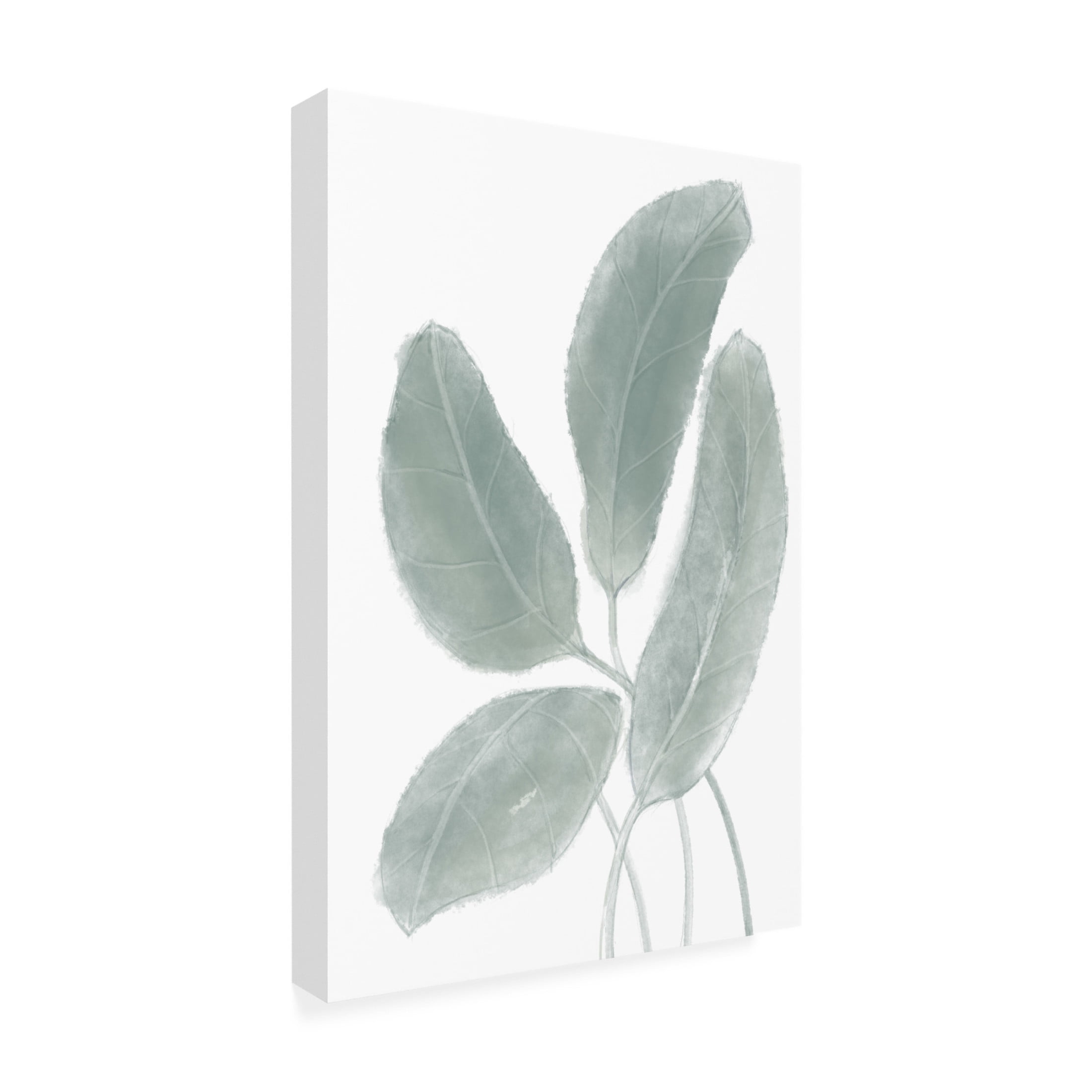 Canvas Wall Art - Pictufy Studio Ii 'Leaves Watercolor 02' Wall Art for Living Room, Bedroom, or Office Décor by Trademark Fine Art - 30 x 47 Inches