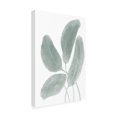 thumbnail image 4 of Canvas Wall Art - Pictufy Studio Ii 'Leaves Watercolor 02' Wall Art for Living Room, Bedroom, or Office Décor by Trademark Fine Art - 12 x 19 Inches, 4 of 4