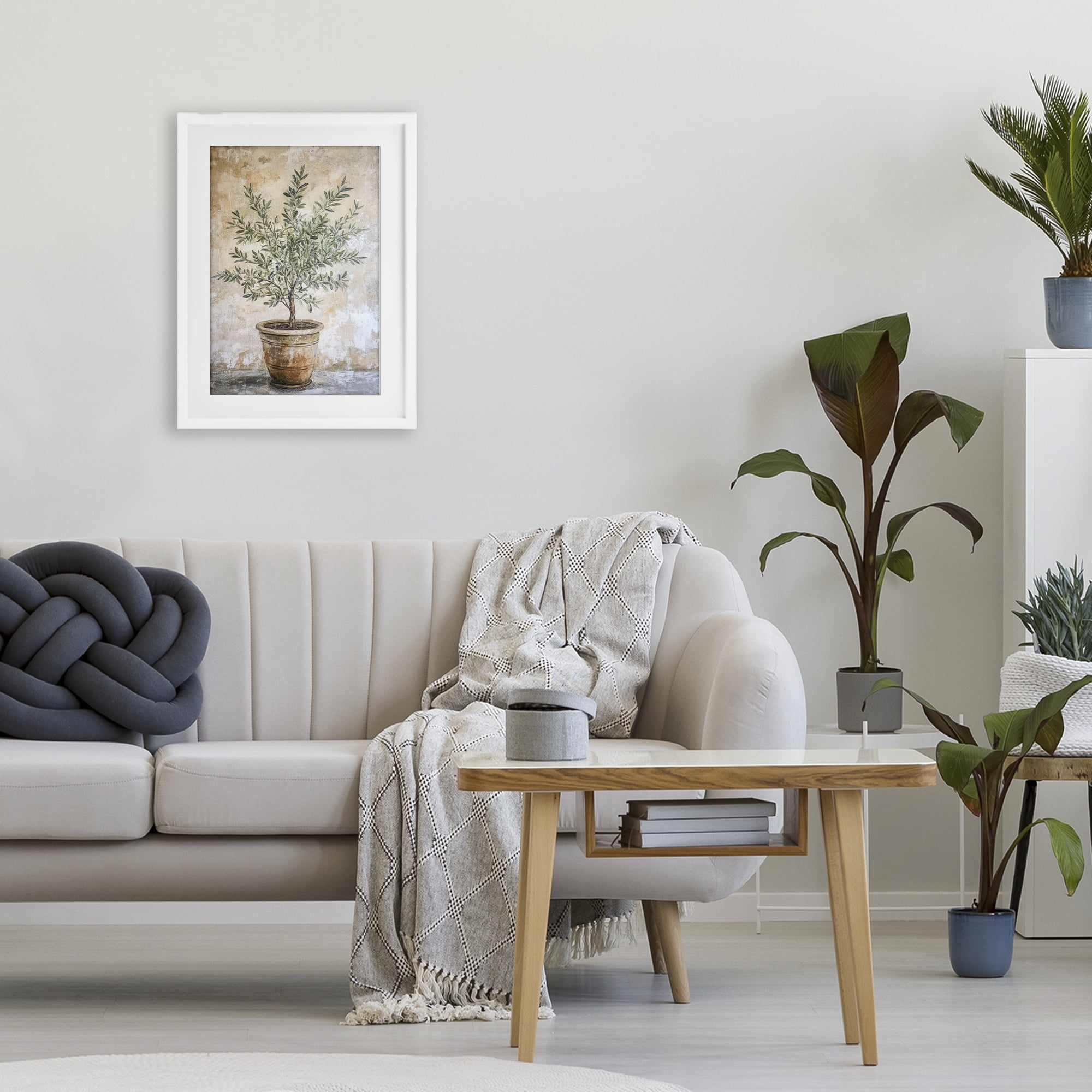 Stupell Industries Mediterranean Potted Olive White Framed Print Under Glass, design by Petal Prints Design