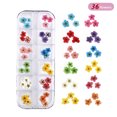 thumbnail image 1 of ZHAOCHENG 36 pegatinas de uñas de flores secas (cinco pétalos), pegatinas de uñas de flores secas 3D, pegatinas de uñas de flores reales naturales coloridas, 1 of 5