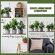 thumbnail image 5 of 1 juego de calcomanías de pared con plantas en maceta, pegatinas adhesivas para ventanas y plantas verdes., 5 of 7