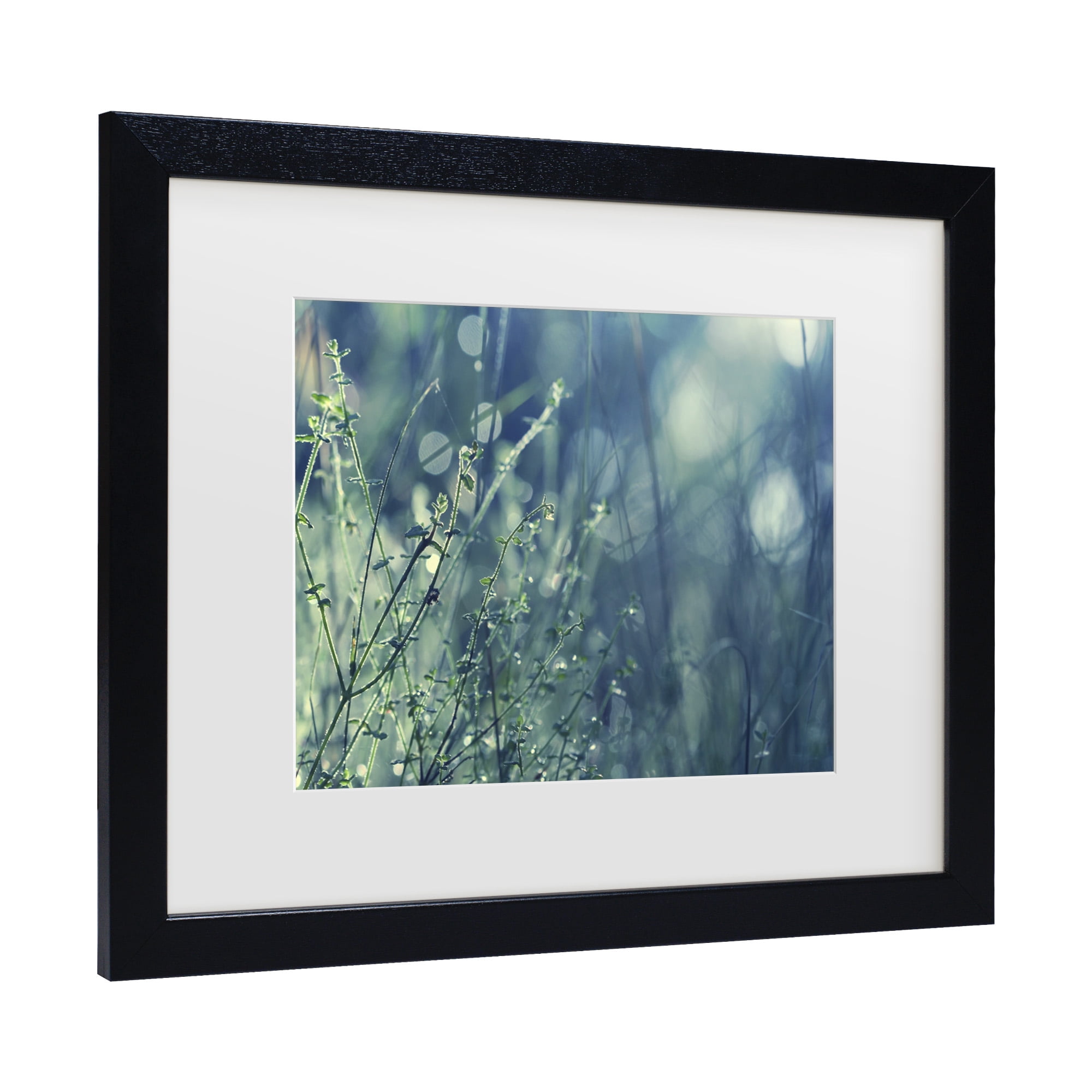 Trademark Fine Art 'Blues in the Morning' Canvas Art by Beata Czyzowska Young