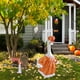 thumbnail image 5 of Ropa de ganso, gansos blancos grandes, decoraciones de Halloween, ropa decorativa de ganso blanco para bebé, ropa de ganso con estampado de calabaza, adecuada para decoraciones de Halloween., 5 of 5
