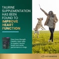 thumbnail image 2 of VetriScience Vetri Cardio Extra Strength Healthy Heart Chicken Flavored Chews, Taurine Supplement for Dogs, 60 Count, 2 of 10