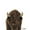 American Buffalo Bison, variant on WIRESTER 11 Oz Ceramic Tea Cup Coffee Mug, Black Spot Cow