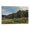 Frame-style, variant on Ivan Shishkin Print Painting Meadow at The Forest Edge. Siverskaya Artworks Picture Print Poster Wall Art Painting Canvas Gift Decor Home Posters Decorative 12x18inch(30x45cm)