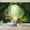 Color 3, variant on Wallpaper Fantasy Fairy Forest Jungle Spring Nature Mystical Enchanting Peel and Stick Wall Murals 69"H x 96"W Removable PVC Wall Paper Self-Adhesive Wall Paintings Art Decor for Bedroom Living Room