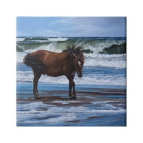 Stupell Industries Horse on Ocean Shore Animals & Insects Painting Gallery Wrapped Canvas Art Print Wall Art, 30 x 30