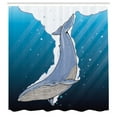 thumbnail image 3 of Ambesonne Cartoon Shower Curtain, Ocean Whale Fish Swims, 69"Wx84"L, Multicolor, 3 of 5