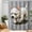 Color 3, variant on SPXUBZ Funny Monkey Sitting On Toilet Shower Curtain, 72 x 72 Inch Waterproof Fabric Bathroom Curtain with 12 Hooks, Durable Washable Bath Decor