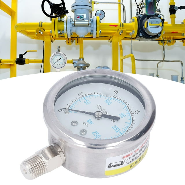 Fafeicy YN-60 Vacuum Pressure Gauge, Stainless Steel Vacuum Manometer, 1/4in NPT Thread Specification, For Measuring The Pressure Of Fluid Media, Class 2.5 Accuracy