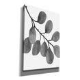 thumbnail image 2 of Epic Graffiti 'Leaves in Gray I' by Cindy Jacobs, Canvas Wall Art, 18"x26", 2 of 2
