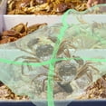 thumbnail image 3 of 10 Pcs Sac de Pêche Portable Sacs de Filet de Crabe Usage Quotidien Filets de Pêche Sac de Rangement pour Filet de Crabe Extérieur, 3 of 9