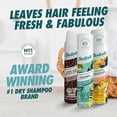 thumbnail image 3 of Batiste Dry Shampoo - Fresh - 6.73 Ounce, 3 of 5