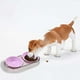 thumbnail image 5 of Estilo Transparente Pet Double Bowl Slip Cat and Dog Food Bowl Water Bowl Food Grade Friendly Material High Appearance Double Grid Food Bowl, 5 of 6