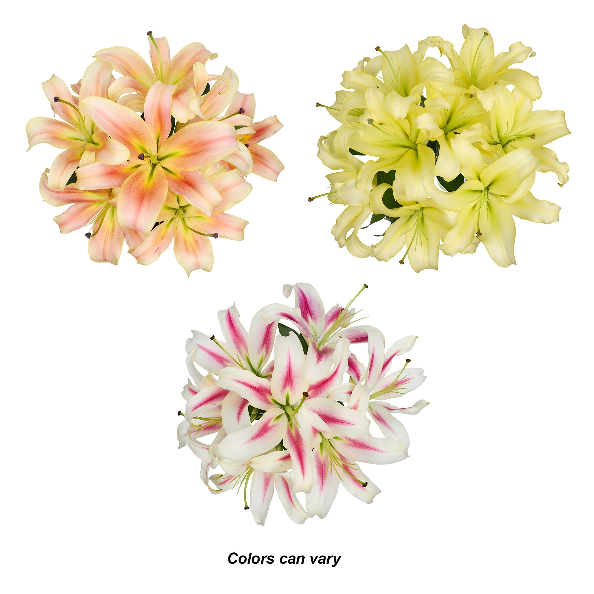 Oriental Lilies Flower Bunch Small, Colors May Vary