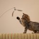 thumbnail image 4 of Cat Kitten Pet Teaser Interactive 30 pulgadas Alambre de material acero 360 degree giratorio con artículos para mascotas de varilla larga Dangle Bell Toy para jugar jinwen Juguetes interactivos para gatos, 4 of 8