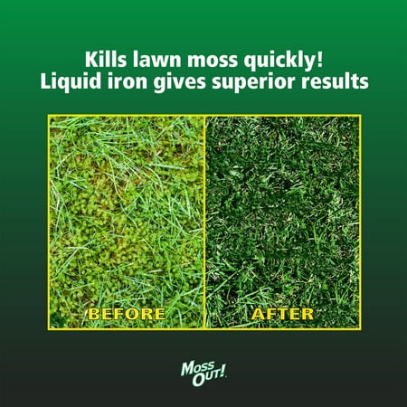 Lilly Miller Moss Out! Lawn Moss Killer Concentrate Herbicide, 1 Gallon