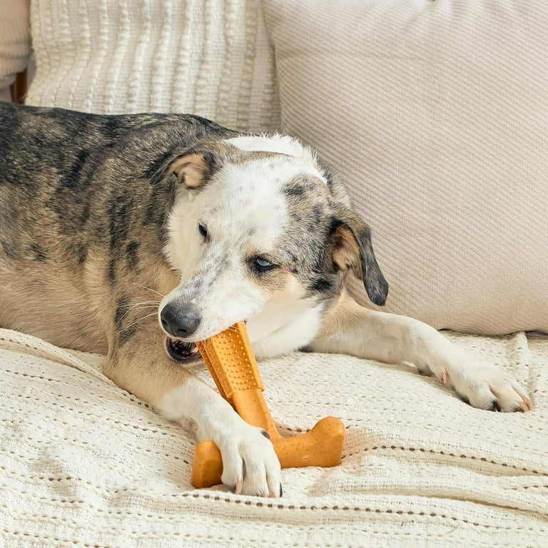 SPOT Bam-Bones Plus T-Bone Dog Chew Toy, 7", For Aggressive Chewers Dogs &  Puppies Under 90 lbs, Peanut Butter Flavor, Bamboo Fiber & Nylon, 1 Pack -  Walmart.com