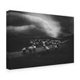 thumbnail image 3 of Canvas Wall Art - Todor Tanev 'Sheep Landscape' Wall Art for Living Room, Bedroom, or Office D?cor by Trademark Fine Art - 32 x 22 Inches, 3 of 4