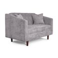 thumbnail image 3 of Sofá Love Seat 2 Plazas De Velvet Gris Claro Modelo Ivanka, 3 of 7