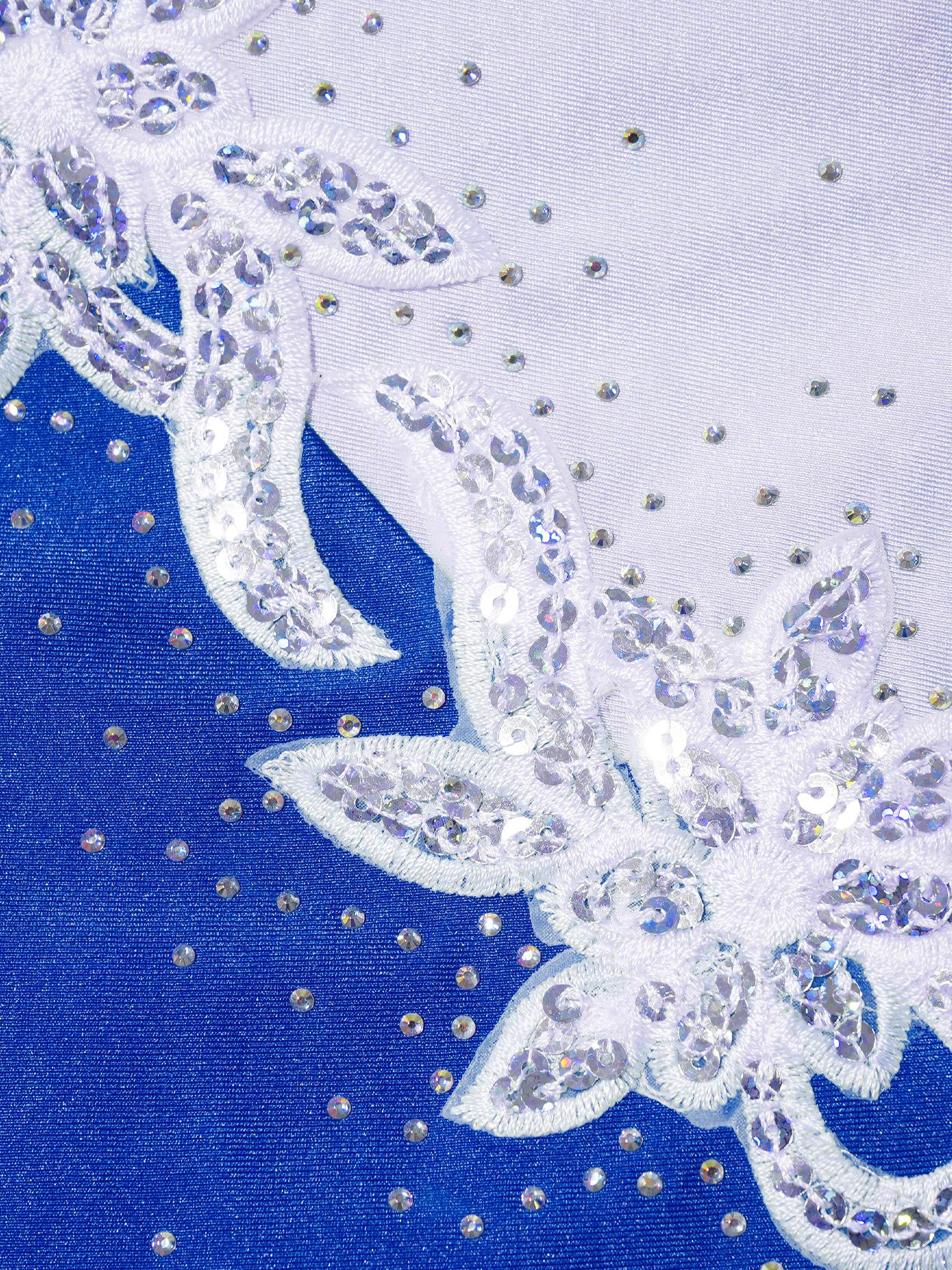 Alvivi Rhinestone Sleeveless Athletic Dance Dress for Kids Girls Figure Skating Competition Costume Royal Blue 10