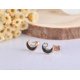 thumbnail image 4 of Pendientes de luna de diamantes de imitación de acero de titanio clásicos, joyería de color oro rosa, pendientes de botón de circonita cúbica para mujeres, acero blanco, código de producto 62097, acer, 4 of 5
