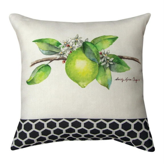 Manual Woodworkers SDPGSF Grove Song Fruit Dye Throw Pillow, 12 inch, Multicolor