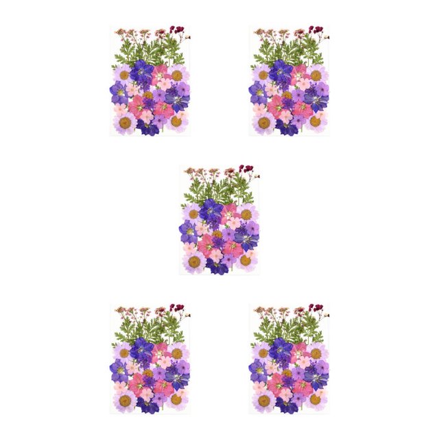 Destyer Set Scrapbooking Decorating Real Flower Decal Handicraft Filling Pressed Specimen Label for Makeup Phone Use Type 1 Type41 NO41