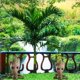 thumbnail image 4 of Maceta, portalápices, maceta Tree Man, para regalos, niños, acuario/decoración interior y exterior (amor en forma de corazón) ER, 4 of 5