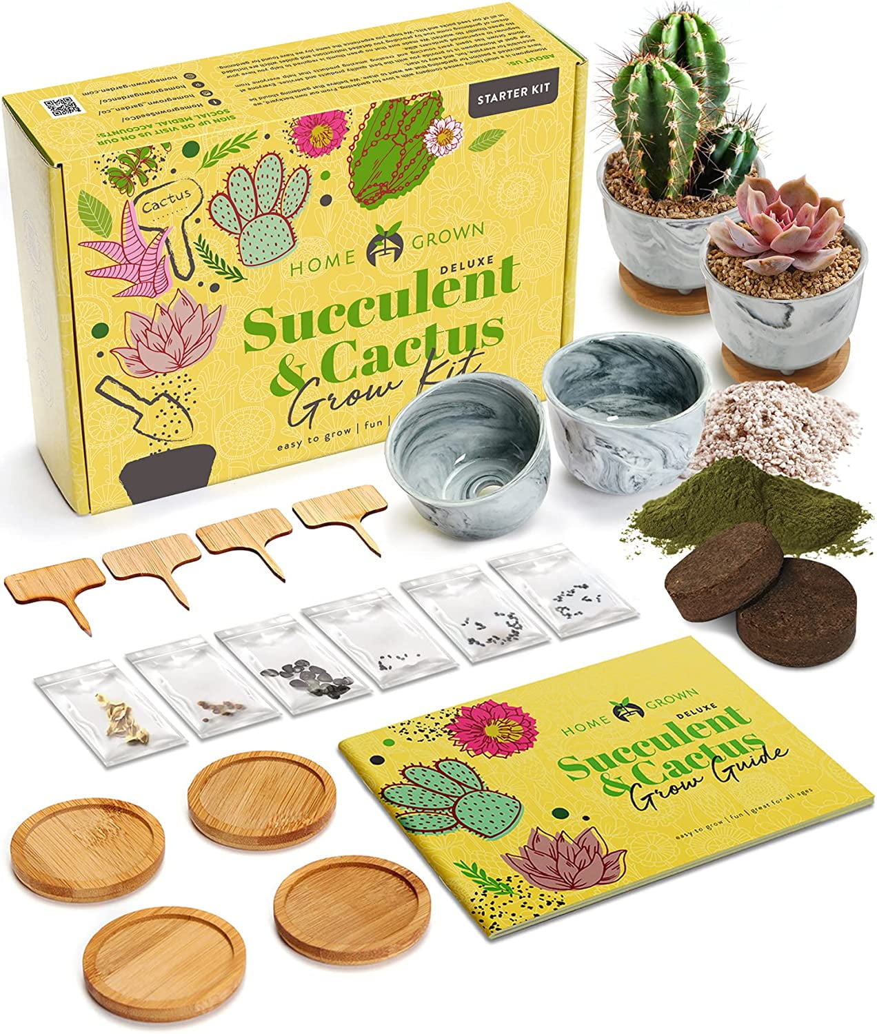 Deluxe Succulent & Cactus Seed Grow Kit Complete Indoor Cactus
