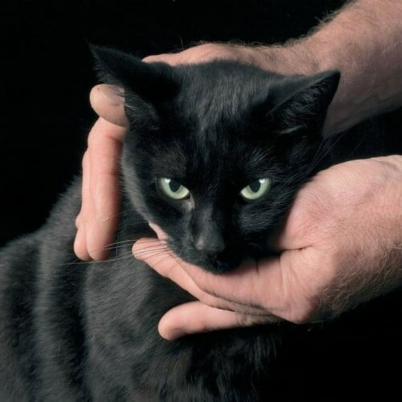 Peter Kernel - White Death, Black Heart - Music & Performance - Vinyl