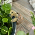 thumbnail image 5 of IOTdou Tortoise Figure Plant Pot Hanger Cute Climbing Tortoise Statue Resin Tortuga Plant Pot Hugger Hanging Turtle Statue for Yard Garden Ornaments Vase Terrarium Decoration 1.6" x 2.4" x 3", 5 of 6
